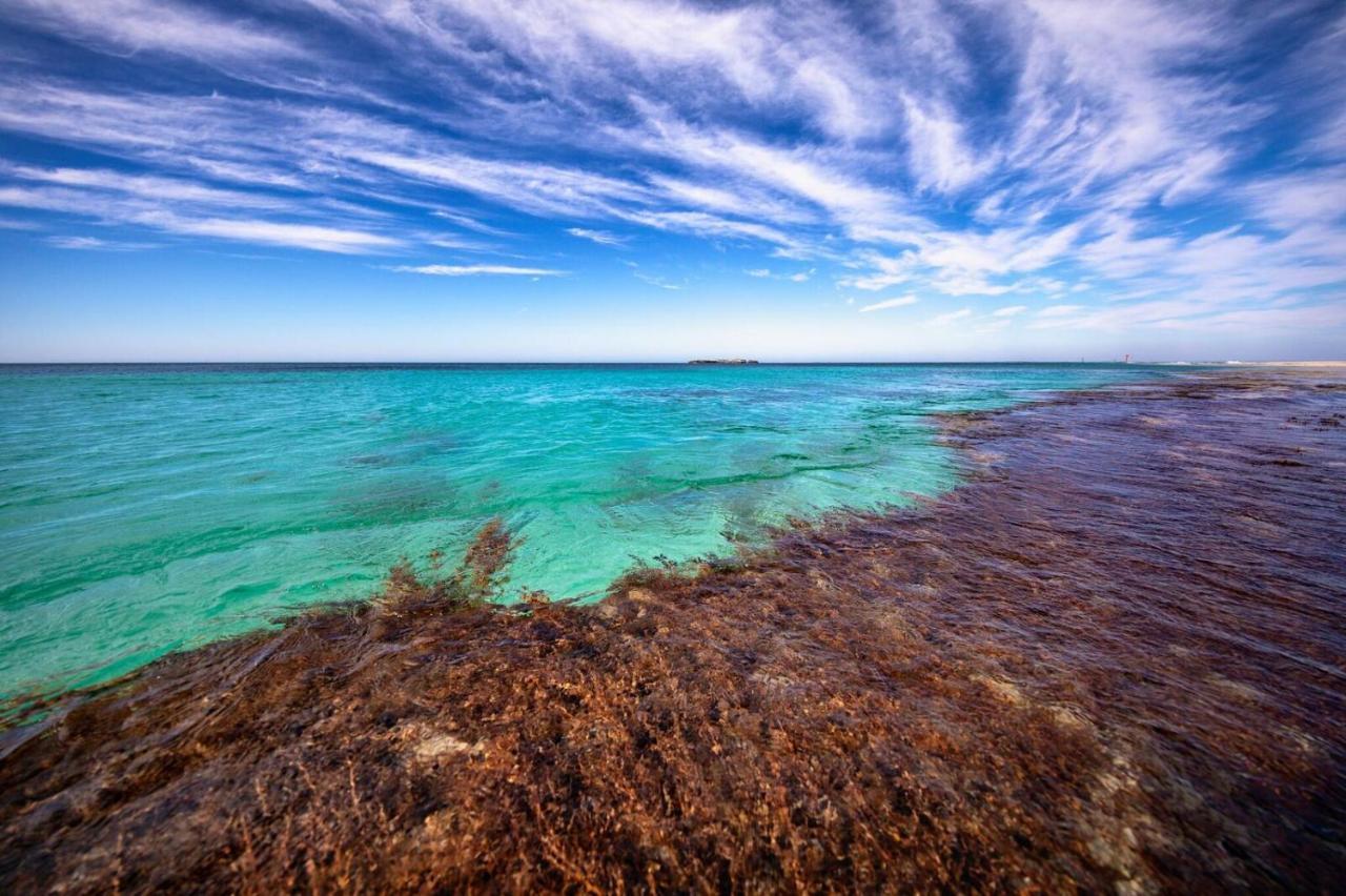 Discovery Resorts - Rottnest Island Exterior foto